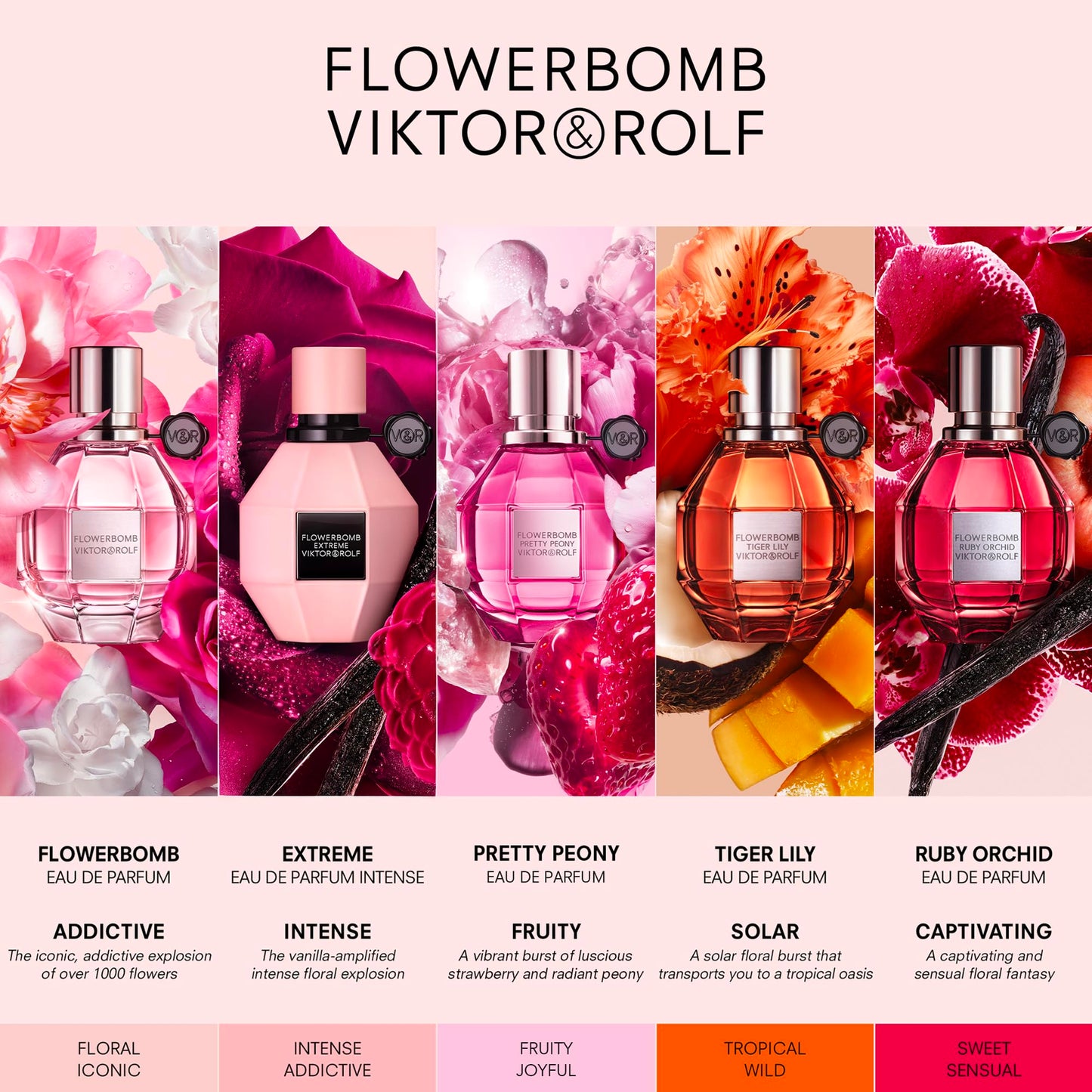 Viktor&Rolf - Flowerbomb Eau de Parfum - Women's Perfume - Floral & Woody - With Notes of Rose, Peony & Patchouli